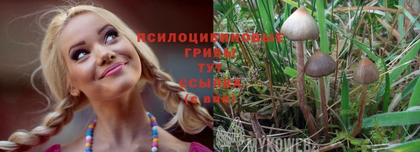 jwh Елизово