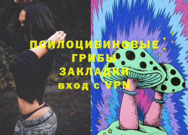 jwh Ельня