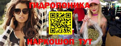 дмт Гатчина