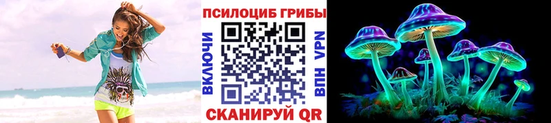 darknet какой сайт  где можно купить наркотик  Рубцовск  Галлюциногенные грибы GOLDEN TEACHER 