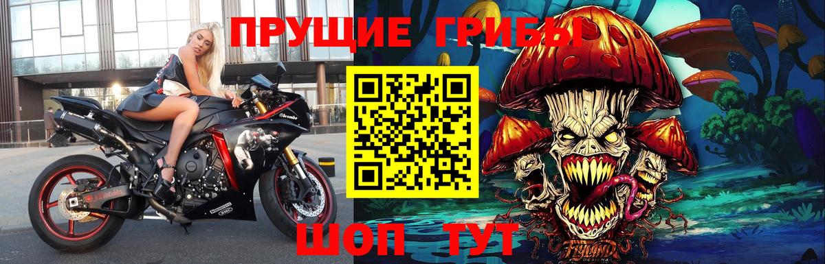 Рубцовск  Галлюциногенные грибы прущие грибы  Псилоцибиновые грибы Magic Shrooms  Вход с VPN 
