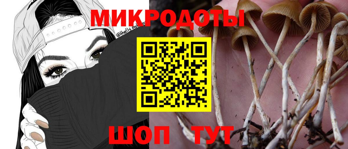 Псилоцибиновые грибы Psilocybine cubensis Рубцовск